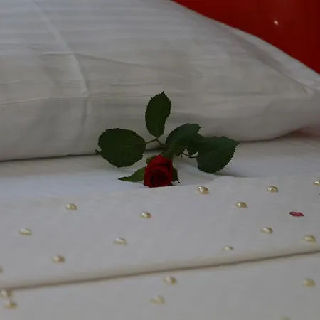 호텔 The Boutique *