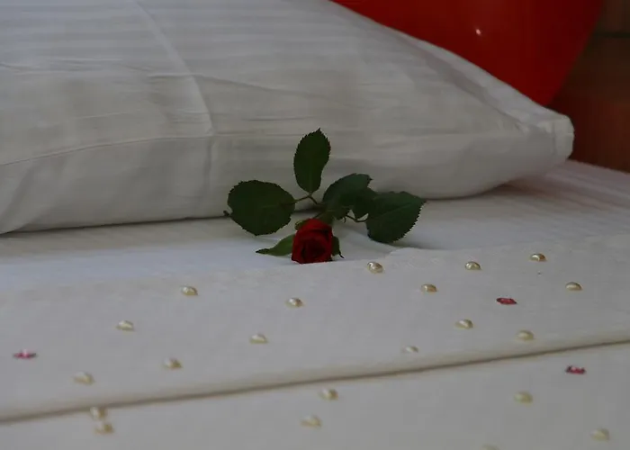 Hotel The Boutique *